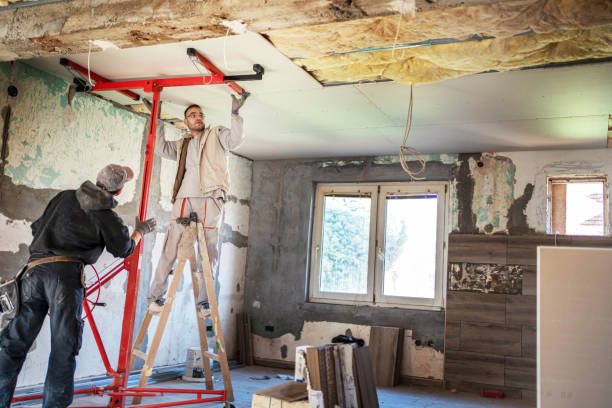 Best Cellulose Insulation in Sullivan Gardens, TN