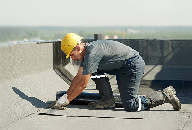 Professional Insulation Contractor in Sullivan Gardens, TN