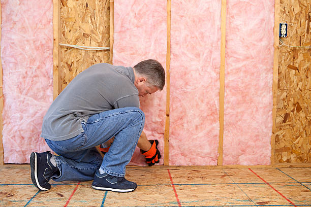 Best Energy Efficiency Insulation in Sullivan Gardens, TN