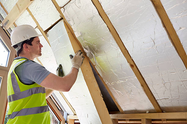 Best Eco-Friendly Insulation in Sullivan Gardens, TN