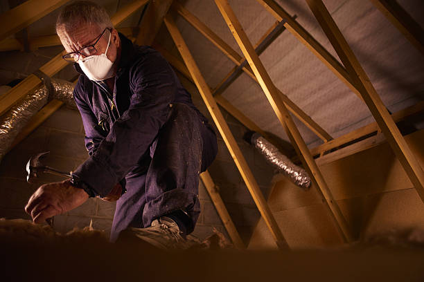 Best Spray Foam Insulation in Sullivan Gardens, TN
